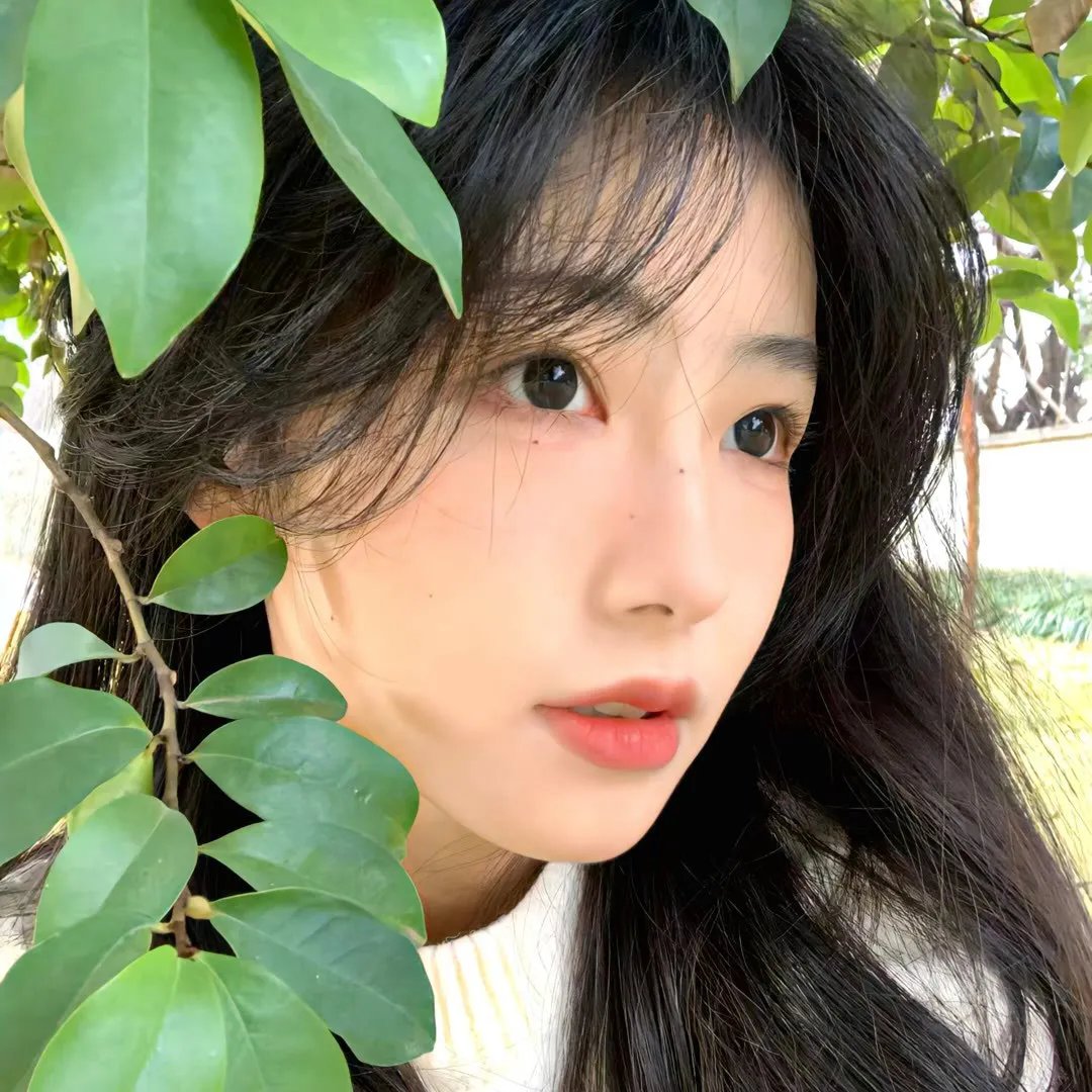 幕府风云